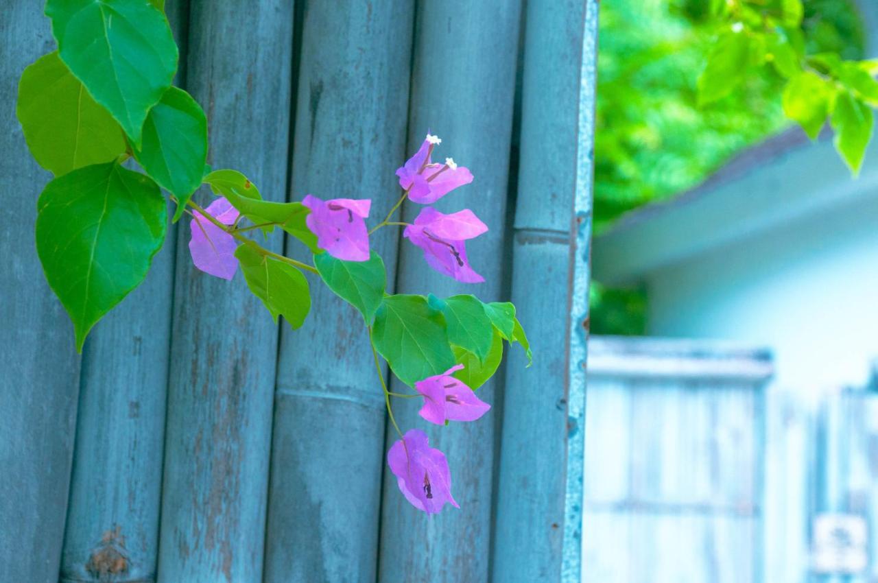 Villa Samalas Resort And Restaurant ギリ島 エクステリア 写真